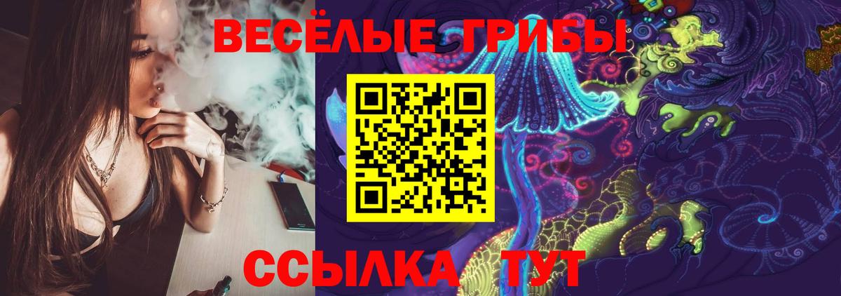 Псилоцибиновые грибы мицелий  Вход с VPN  Семёнов  Псилоцибиновые грибы GOLDEN TEACHER 